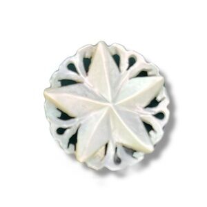 Vintage Round Mother of Pearl Star of Bethlehem Brooch/Pin, Signed BETH-LEHEM